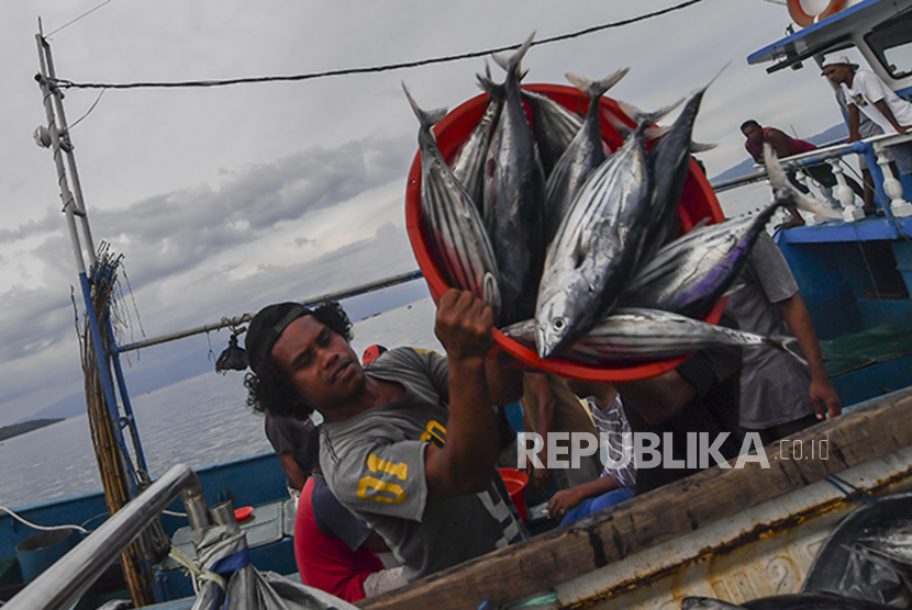 Nelayan melakukan bongkar muat hasil tangkapan laut di Pelabuhan Tulehu, Ambon, Maluku, Minggu (8/11/2020). Pemerintah melalui Kementerian Koperasi dan UKM menargetkan peningkatan ekspor perikanan sebesar USD 1,5 miliar pada 2024. 