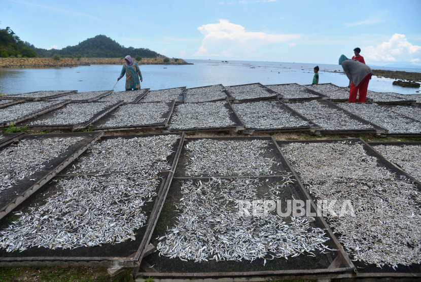 Pekerja dari kalangan istri nelayan menjemur ikan asin olahan, ilustrasi