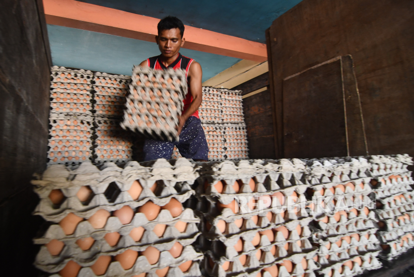 Pekerja menurunkan telur dari truk untuk diletakkan di koperasi. ilustrasi