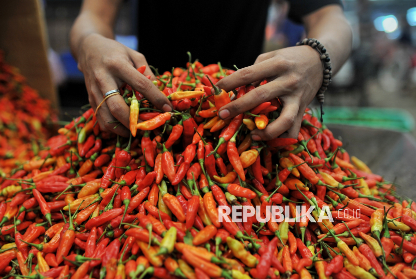 Pedagang cabai rawit sebelum di jual di Pasar Induk Kramatjati, Jakarta, Rabu (4/12/2024). 