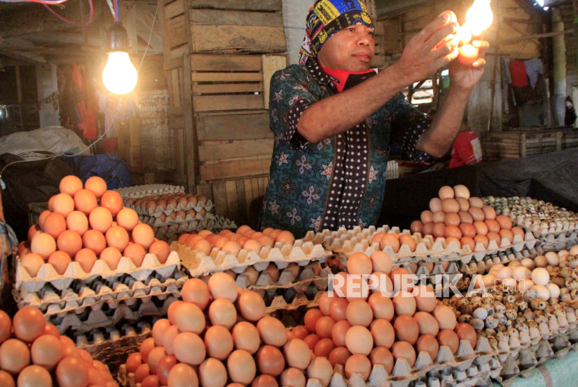Seorang pedagang telur memeriksa kondisi telur ayam yang dijualnya di pasar.