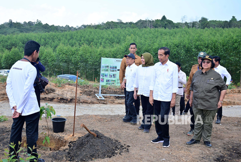 Presiden Jokowi saat melakukan penanaman pohon bersama dengan masyarakat dan siswa sekolah di lokasi Rehabilitasi Hutan dan Lahan Kawasan Inti Pusat Pemerintahan (KIPP), di Kawasan Ibu Kota Nusantara (IKN), Kalimantan Timur, Rabu (20/12/2023).