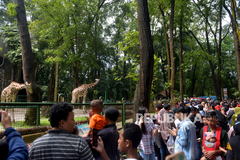 Sejumlah pengunjung memadati Taman Margasatwa Ragunan di Jakarta, Ahad (1/1/2023). Pengelola Taman Margasatwa Ragunan, Pasar Minggu, Jakarta Selatan menyebut telah menerima kunjungan sebanyak 8.509 orang saat libur Tahun Baru Imlek pada Ahad (22/1/2023).