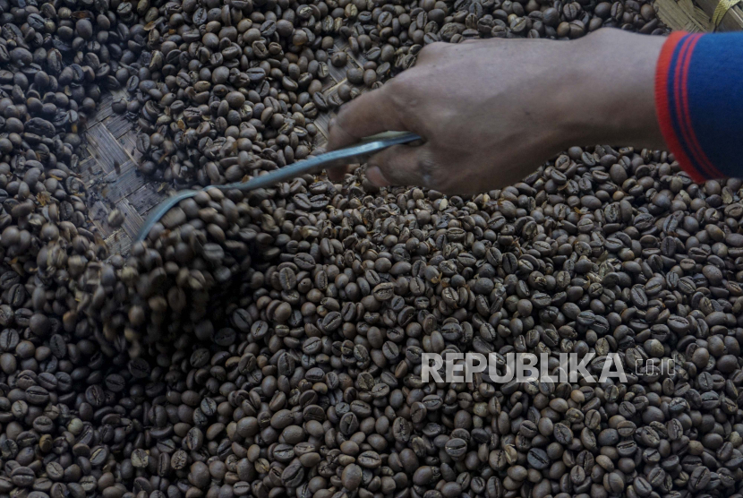 Petani menyortir biji kopi produk Kopi Kingkaf di Bawang, Kabupaten Batang Jawa Tengah, Selasa (7/6/2020). Pengusaha produk Kopi Kingkaf memasarkan produk olahan biji kopi miliknya dari petani lokal hingga ke Melbourne, Australia, dengan harga Rp30.000-Rp85.000 per 100 gram. 