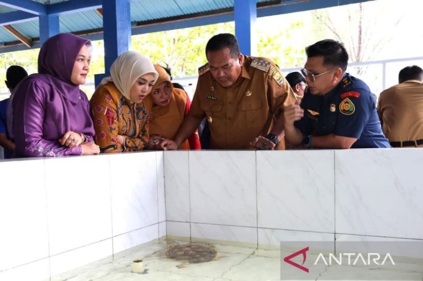 Konservasi penyu Pariaman jadi daya tarik wisata edukatif.