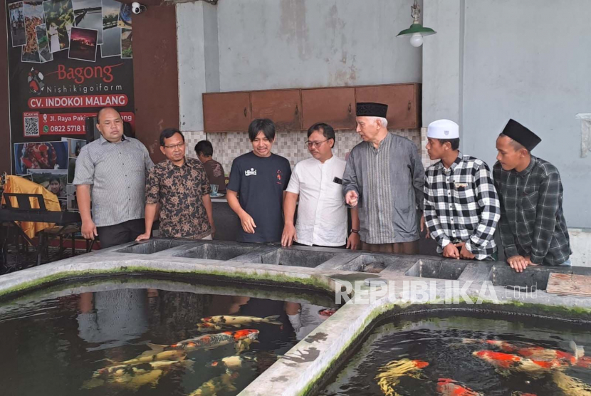 Tim dosen Prodi Akuakultur Universitas Muhammadiyah Malang (UMM) melakukan inovasi dengan memproduksi pakan ikan koi mandiri berbasis bahan baku lokal dengan harga terjangkau.