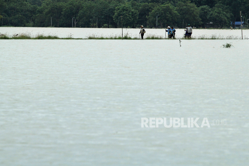 Petani melintasi area sawah yang terendam banjir di Indramayu, Jawa Barat, 