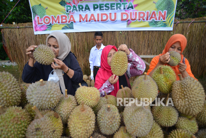 Peserta mengikuti lomba maidu (mencium) durian saat Festival Galiek Durian di Nagari Gunung Rajo, Kabupaten Tanah Datar, Sumatera Barat, Sabtu (12/11/2022). Lomba maidu durian di desa penghasil durian tersebut digelar untuk menentukan durian terbaik melalui aromanya.  