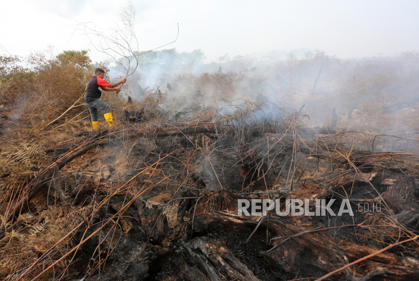 Seorang warga berusaha memadamkan api dengan alat seadanya saat kebakaran lahan gambut di Desa Suak Puntong, Nagan Raya, Aceh, Jumat (23/6/2023). Berdasarkan data Badan Penanggulangan Bencana Aceh (BPBA) pada Kamis (22/6) luas kebakaran hutan dan lahan (karhutla) di Nagan Raya telah mencapai 21,5 hektar dan terus meluas akibat upaya pemadaman terkendala sumber air dan akses jalan menuju lokasi kebakaran.Antara/Syifa Yulinnas 
