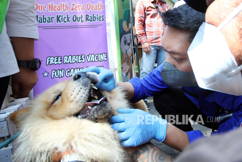 Pemeriksaan dan vaksinasi gratis hewan saat acara Jabar Punya Informasi (JAPRI) Volume 102, bertema Jabar Kick-Out Rabies 2022 dalam rangka memeringati Hari Rabies Sedunia yang digelar Diskominfo dan Dinas Ketahanan Pangan dan Peternakan (DKPP) Jawa Barat di Ciwalk, Kota Bandung, Rabu (28/9). Dalam acara itu disampaikan, untuk mewujudkan Jawa Barat bebas dari rabies adalah dengan menjadi pemilik hewan yang bertanggungjawab, melalui perawatan rutin dan vaksinasi berkala.