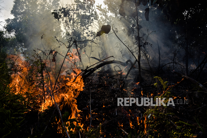 Kebakaran hutan (ilustrasi). BMKG mendeteksi 30 titik panas di Kalimantan Timur. Untuk itu, semua pihak diminta waspada agar tak terjadi kebakaran hutan atau lahan.
