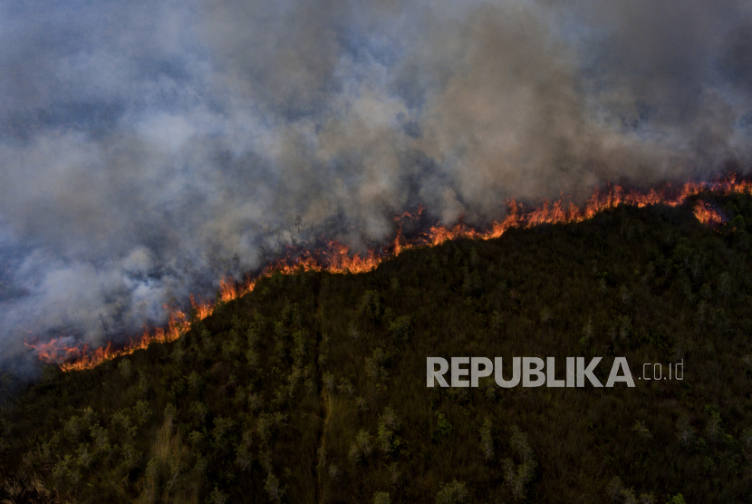 Foto udara api membakar lahan gambut di Pedamaran, Ogan Komering Ilir (OKI), Sumatera Selatan, Senin (18/9/2023). Sejumlah wilayah Indonesia berpotensi mengalami kebakaran hutan dan lahan (karhutla).