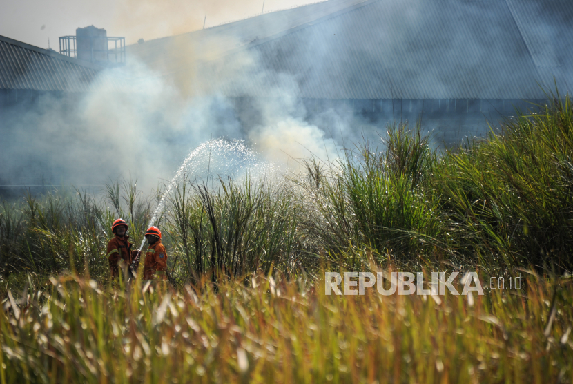 Ilustrasi kebakaran lahan. Badan Penanggulangan Bencana Daerah (BPBD) Kota Pekanbaru mencatat telah terjadi kebakaran lahan pada periode Januari-Agustus 2020 sebanyak 59 titik.