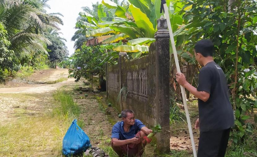 Suku Anak Dalam: Pak Manggo, Suku Anak Dalam yang Punya Banyak Anak