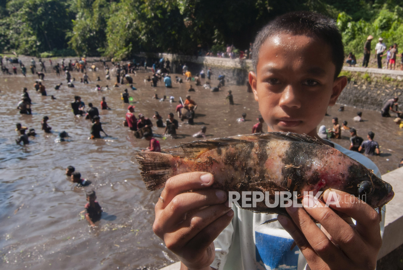 Seorang anak menunjukan ikan hasil tangkapan saat tradisi Bukak Teteg Cueran di Demakijo, Karangnongko, Klaten, Jawa Tengah.