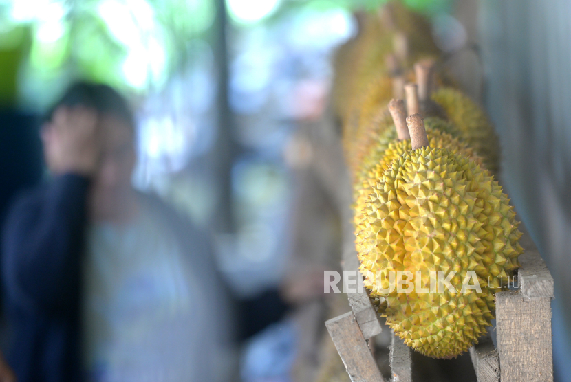 Buah durian (ilustrasi). Festival Durian Semarang 2024 yang digelar di Shelter UMKM Cepoko, Gunungpati, Semarang.