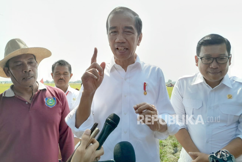 Presiden Jokowi saat mengikuti panen raya di Kabupaten Indramayu, Jawa Barat, Jumat (13/10/2023).