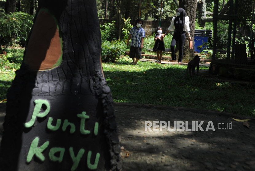 Sebanyak 21 asosiasi industri pariwisata di Sumatera Selatan meminta kepada pemerintah pusat dan daerah melakukan penyesuaian kebijakan pemberlakuan pembatasan kegiatan masyarakat (PPKM). Sebab, aturan yang berjalan bisa mematikan usaha anggota mereka. (Foto: Taman Wisata Hutan Punti Kayu Palembang, Sumsel)