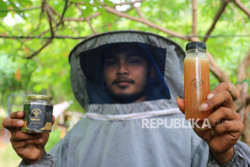 Usaha mikro, kecil, dan menengah (UMKM) di Kabupaten Aceh Timur mulai melirik dan mengembangkan bisnis madu dari kawasan Hutan Leuser (ILUSTRASI).