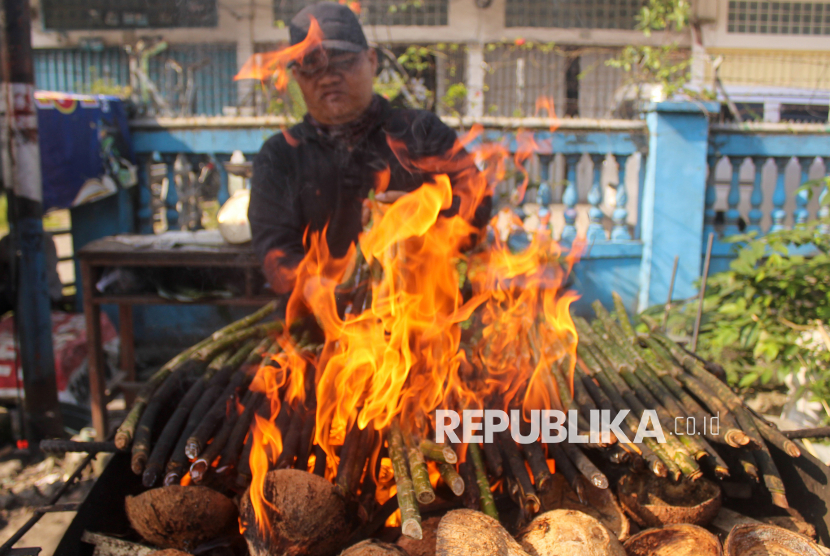 Pedagang membakar batang rotan atau Pakkat yang dijual di Medan, Sumatera Utara, Senin (3/3/2025). Makanan tradisional khas suku Batak Mandailing yang dijual dengan harga Rp10.000 per tiga batang tersebut menjadi makanan yang digemari warga untuk santapan berbuka puasa pada bulan Ramadhan. 