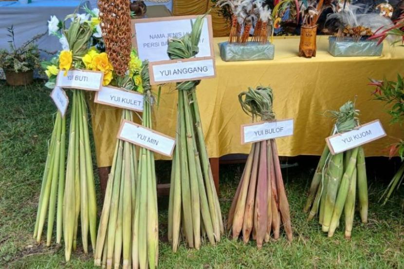 Pemkab Jayapura Dorong Pelestarian Pangan Lokal Lewat Festival Seribu Lilin