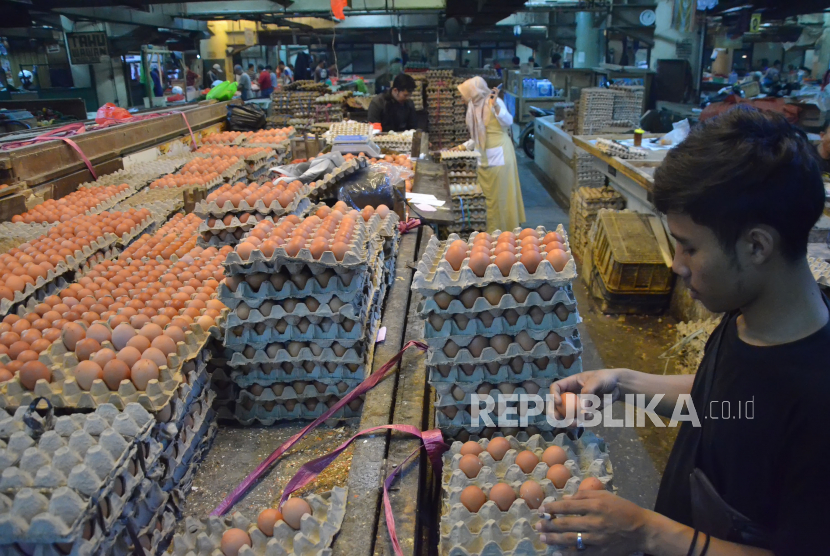 Pedagang telur memeriksa kualitas telur di Pasar Baru, Kota Bandung, Jawa Barat, Rabu (15/3/2023). Holding BUMN Pangan, ID Food mendapatkan tugas dari pemerintah untuk menyalurkan bantuan pangan ayam dan telur untuk 2,1 juta keluarga penerima manfaat.
