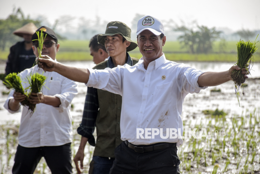 Menteri Pertanian Andi Amran Sulaiman (kanan) menunjukkan padi saat kunjungannya di Kutawaringin, Kabupaten Bandung, Jawa Barat.