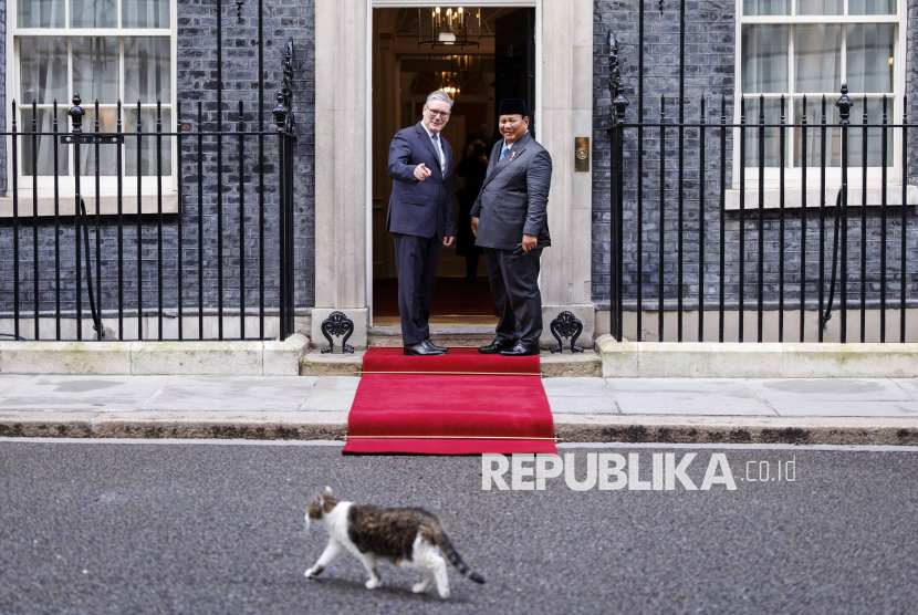Larry the Cat Ikut Sambut Kedatangan Presiden Prabowo di Downing Street