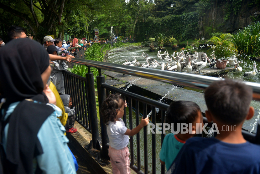 Sejumlah pengunjung memadati Taman Margasatwa Ragunan di Jakarta, Ahad (1/1/2023). Taman Margasatwa Ragunan tersebut masih menjadi tujuan wisata yang diminati warga Jakarta dan sekitarnya pada Libur awal tahun baru 2023. Walau sejak pagi dilanda hujan yang cukup awet tidak menyurutkan warga untuk tetap berlibur. Prayogi/Republika