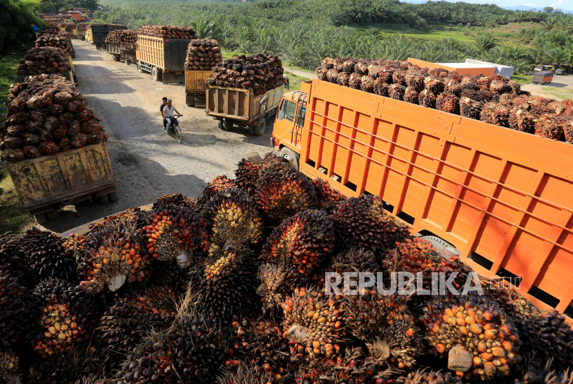 Sejumlah truk pengangkut Tanda Buah Segar (TBS) sawit mengantre untuk pembongkaran di salah satu pabrik minyak kelapa sawit milik PT Karya Tanah Subur (KTS) Desa Padang Sikabu, Kaway XVI, Aceh Barat, Aceh, Selasa (17/5/2022). Pertumbuhan ekspor diharapkan memberikan dukungan pertumbuhan ekonomi kuartal II dan tahun ini secara umum.