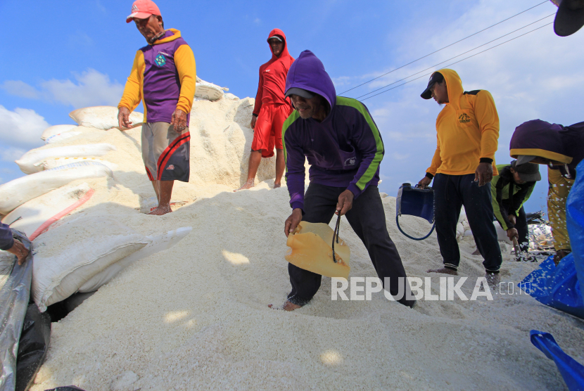 Sejumlah pekerja mengumpulkan garam ke dalam karung di desa Luwunggeusik, Krangkeng, Indramayu, Jawa Barat, 22 Maret 2021. ilustrasi