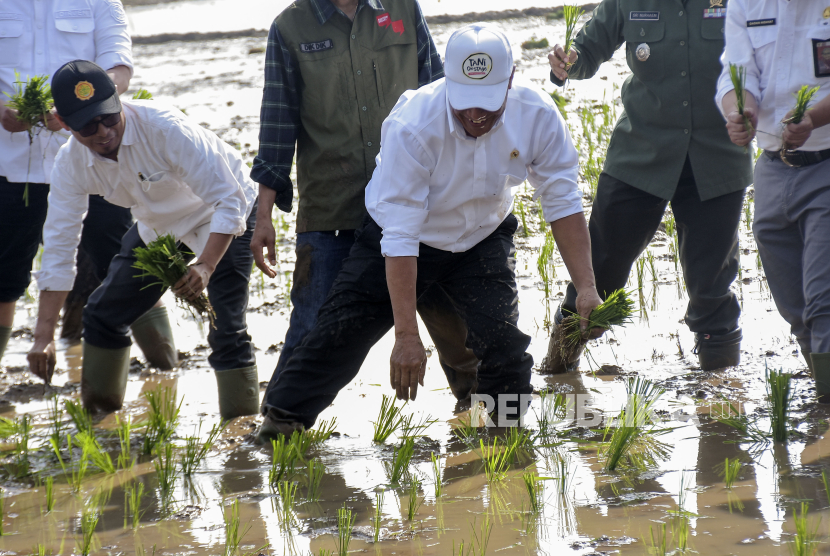 Menteri Pertanian Andi Amran Sulaiman (tengah) menanam padi saat kunjungannya di Kutawaringin, Kabupaten Bandung, Jawa Barat, Rabu (6/12/2023). 