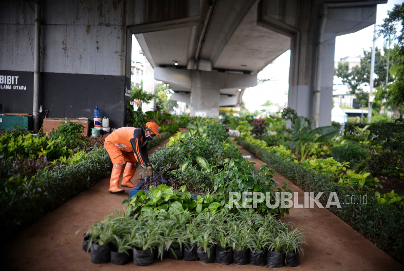 Petugas PPSU merawat tanaman di Taman Bibit, Kelurahan Kebayoran Lama Utara, Jakarta, Ahad (28/2). Bercocok tanam di daerah dengan tingkat polusi tinggi juga masih bisa dilakukan.