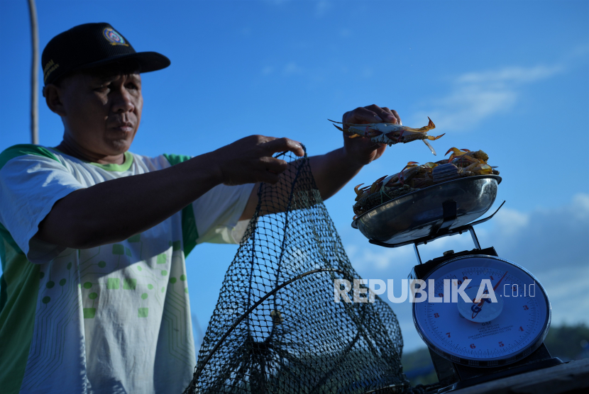 Nelayan menimbang hasil tangkapan kepiting rajungan (Portunus pelagicus) (ilustrasi). Pemerintah Kabupaten Bangka Tengah, Provinsi Kepulauan Bangka Belitung, meluncurkan program jaminan sosial ketenagakerjaan nelayan, sebagai bentuk jaminan dan perlindungan dalam bekerja.