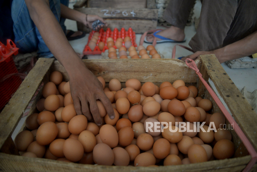 Pekerja telur menata telur ayam di salah satu agen di Jakarta, Jumat (3/6/2022). Badan Pusat Statistik (BPS) mengumumkan inflasi pada Mei 2022 mencapai 0,40 persen secara bulanan yang salah satunya disebabkan kenaikan harga telur ayam. Saat ini harga telur ayam mencapai Rp. 30.000 per kilogram.Prayogi/Republika.
