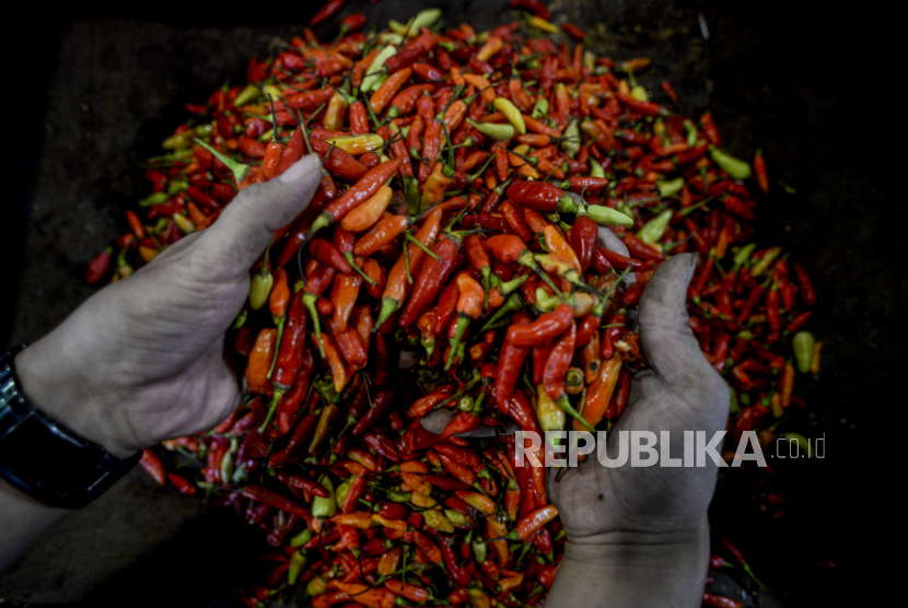 Harga cabai rawit merah di Pasar Tradisional Kota Bengkulu kembali mengalami kenaikan.