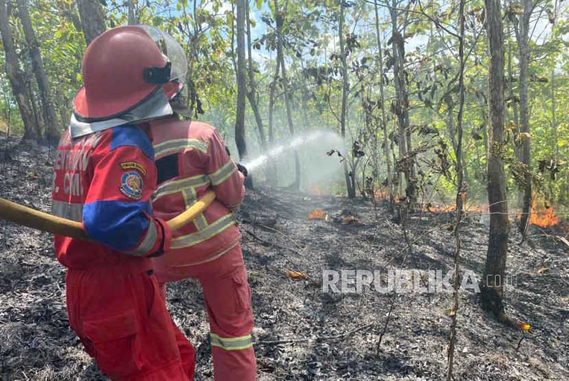 Petugas menangani kebakaran lahan di Desa Sindangrasa, Kecamatan Banjaranyar, Kabupaten Ciamis, Jawa Barat, Senin (11/12/2023).