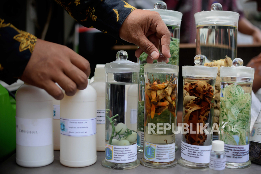 Petugas menata sampel hama dan penyakit tanaman di Urban Farming Dahlia, Cempaka Putih Barat, Jakarta, Kamis (9/3/2023). 