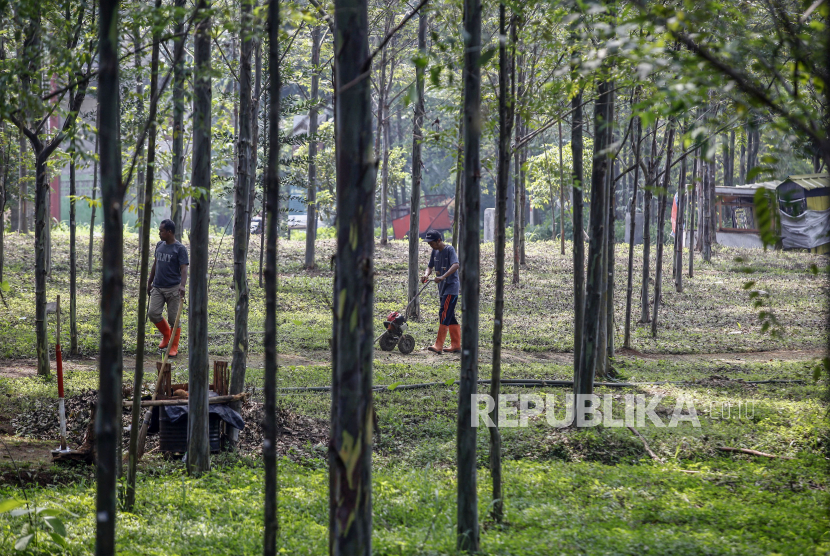 Warga melintas di hutan kota Pakansari, Cibinong, Kabupaten Bogor, Jawa Barat. Pemkab Bogor memperkuat kolaborasi untuk melindungi hutan Kota Cibinong.
