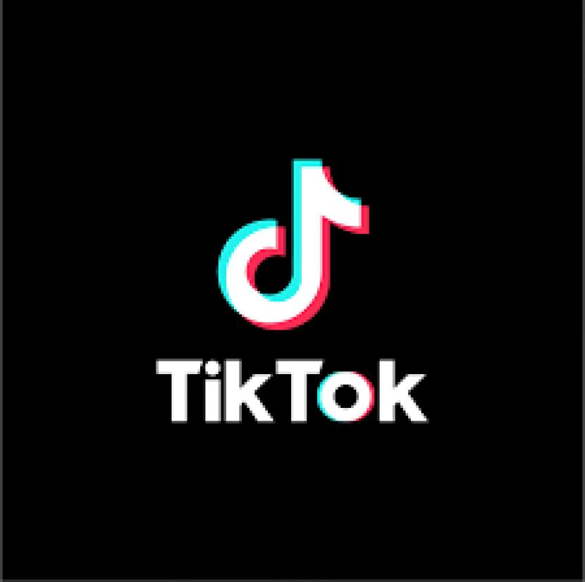 SnapTik bisa untuk download video dari TikTok.