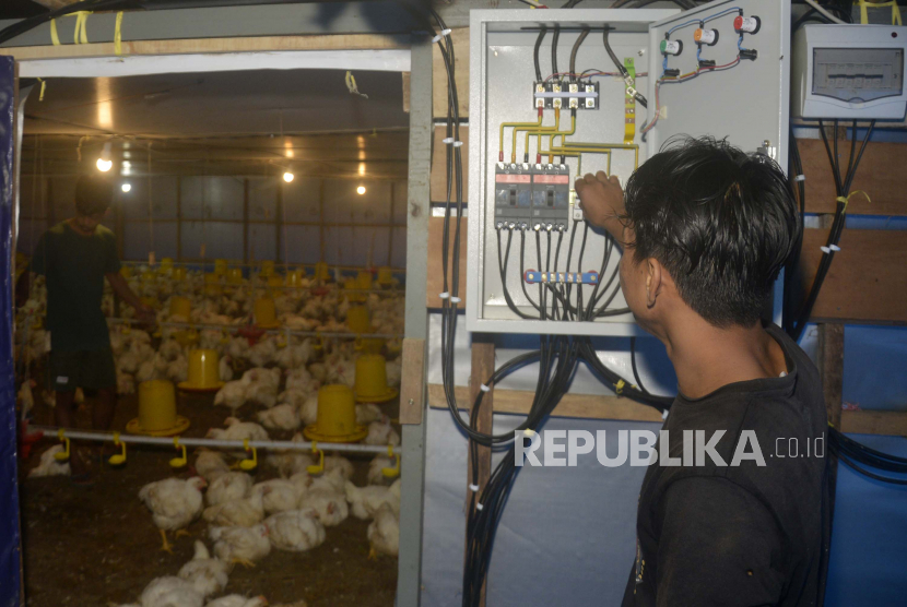 Pekerja mengoperasikan kandang ternak ayam dengan program Electrifying Agriculture (ilustrasi). PLN Unit Induk Distribusi Sulawesi Selatan, Sulawesi Tenggara dan Sulawesi Barat (UID Sulselrabar) menyatakan kesiapan mendukung para peternak ayam dengan memberikan listrik yang andal melalui program Electrifying Agriculture.
