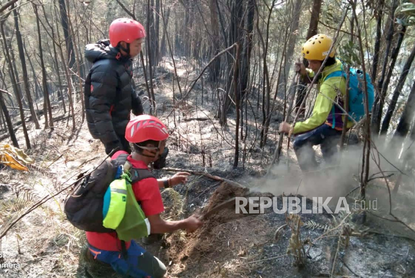 Tim gabungan berusaha melakukan pemadaman api di Hutan Lindung Lereng Gunung Kawi, Kabupaten Malang, Rabu (8/11/2023). 