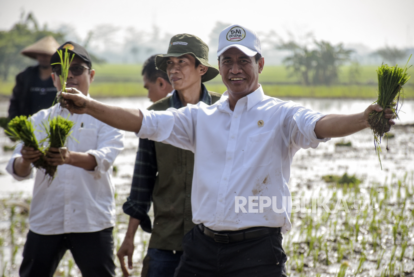 Menteri Pertanian Andi Amran Sulaiman (kanan) menunjukkan padi saat kunjungannya di Kutawaringin, Kabupaten Bandung, Jawa Barat, Rabu (6/12/2023). 