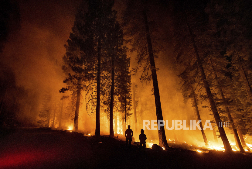 Hingga Ahad (8/8), kebakaran di California telah menghanguskan 463.477 hektare. Ilustrasi.