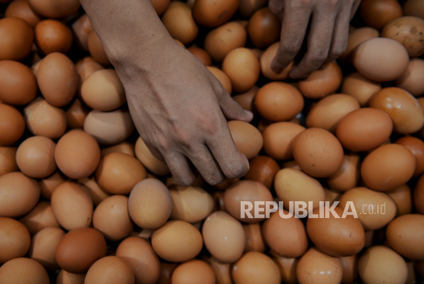 ID Food mengatakan kenaikan harga telur di pasaran akan diatasi dengan menggelar pasar murah. (ilustrasi)