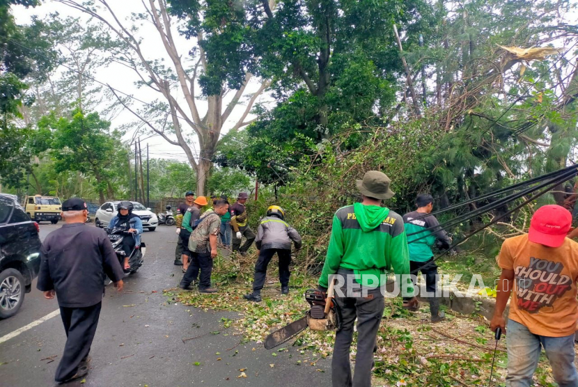 Petugas Dinas Perumahan dan Permukiman (Disperumkim) Kota Bogor menangani pohon tumbang di Kelurahan Menteng, Kecamatan Bogor Barat, Kota Bogor, Kamis (9/2/2023). Sebanyak tiga pohon besar tumbang saat hujan mengguyur Kota Bogor di akhir pekan ini.