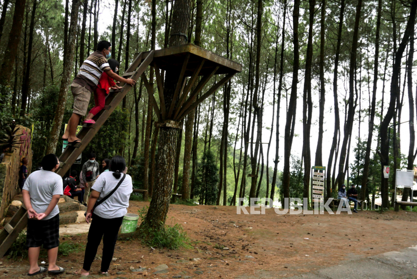Berencana Liburan? Kenali Dulu Adabnya. Warga berwisata di Hutan Pinus Kragilan, Pakis, Magelang, Jawa Tengah.