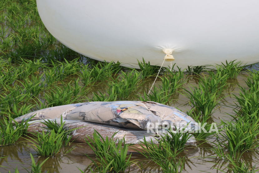 Balon pengangkut sampah yang diterbangkan oleh Korea Utara mendarat di sawah di daerah perbatasan barat laut Ganghwa, Korea Selatan, 10 Juni 2024. 