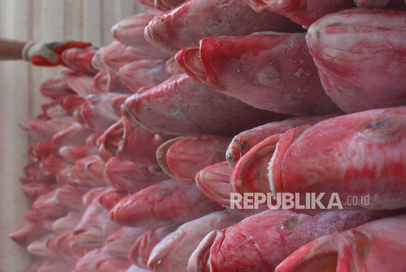 Pekerja menyusun ikan kakap merah yang siap diekspor di Pelabuhan Perikanan Muara Angke, Jakarta, Senin (11/12/2023). Kementerian Kelautan dan Perikanan (KKP) mencatat nilai ekspor produk perikanan dari Januari hingga September 2023 mencapai 4,1 miliar dolar Amerika Serikat atau setara Rp64,1 triliun. 
