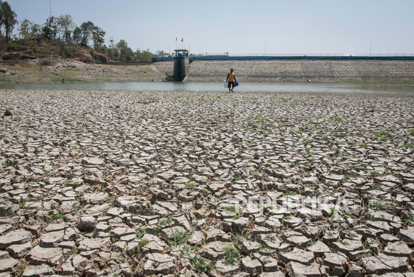 Warga mencari ikan di Waduk Tandon yang mengalami penyusutan debit air di Selogiri, Wonogiri, Jawa Tengah, Selasa (8/8/2023). Badan Meteorologi Klimatologi dan Geofisika (BMKG) memprediksi puncak kemarau kering tahun 2023 akan terjadi mulai bulan Agustus hingga September yang berdampak di sejumlah wilayah di Indonesia mengalami kekeringan ekstrem karena dampak dari fenomena El-Nino atau kemarau panjang. 